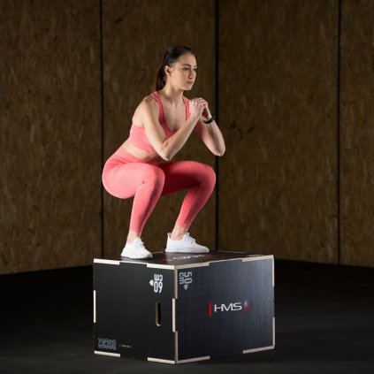 DSC02 PLYO BOX HMS