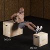 DSC01 PLYO BOX HMS