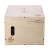 DSC04 PLYO BOX HMS
